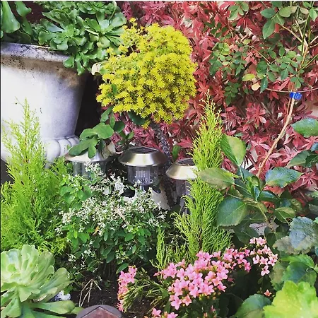 ダネマルク ホテル