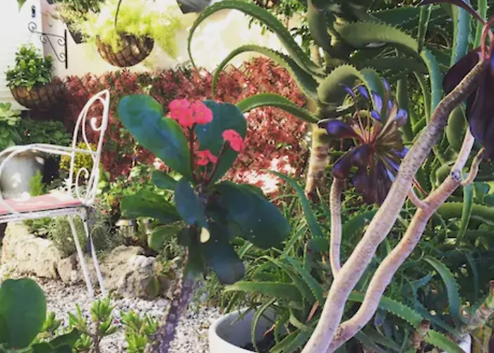 ダネマルク 2* ニース