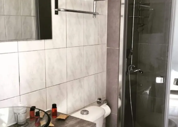 ダネマルク 2* ニース